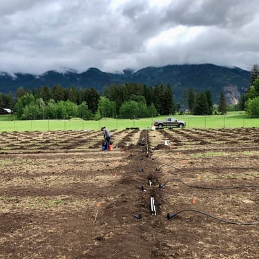Installation of our Elk Park Vineyard in Montana