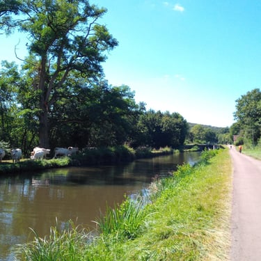 Canal du Nivernais