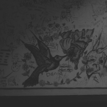 Dibujo de colibrí y graffiti en pared oscura, B&N.