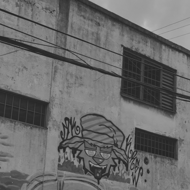 Edificio antiguo con graffitis y ventanas con rejas en B&N.