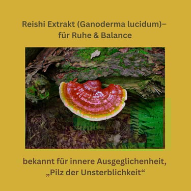 Reishi Vitalpilz Extrakt (Ganoderma lucidum)