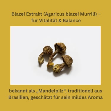 Blazei Vitalpilz Extrakt (Agaricus blazei Murrill)
