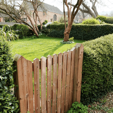 a photo of a garden gate leading to a lawn surrounded by hedging
