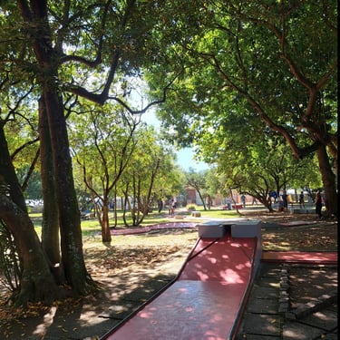 park with trees grass sunshine