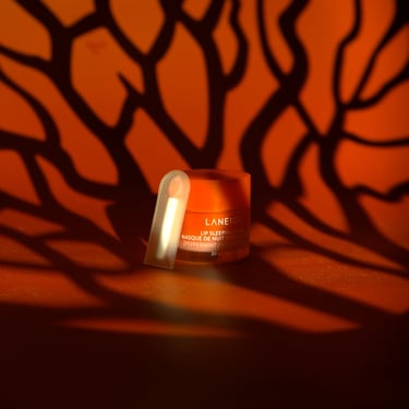 A small container of Laneige lip sleeping mask on a dark backdrop with red tree branch lighting.