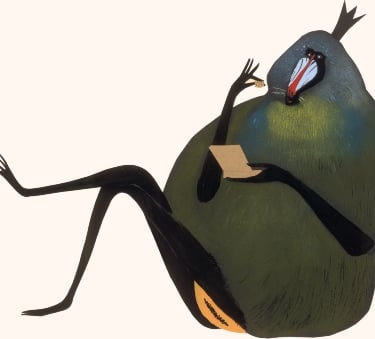 Illustration Elisabeth Steinkellner 