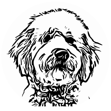TBC Logo