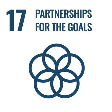 SDG Goal 17 – Partnerships for the Goals: Strengthen the means of implementation and global partnerships