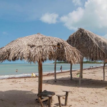 alt="Paisaje natural de montaña, playa y aves en Dibulla, La Guajira"