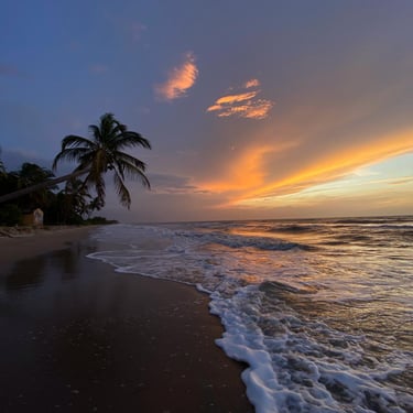 alt="Playa virgen de Dibulla en La Guajira con arena dorada y mar Caribe"