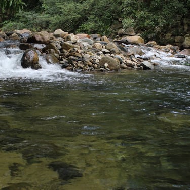 alt="Río cristalino con piedras y vegetación tropical en Dibulla"