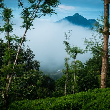 Morning Mist_Blackhole view
