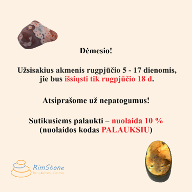 Nuolaidos kodas palauksiu
