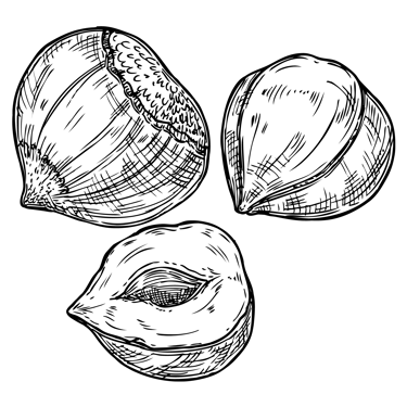 collection praliné MZ Pâtisserie YVELINES 