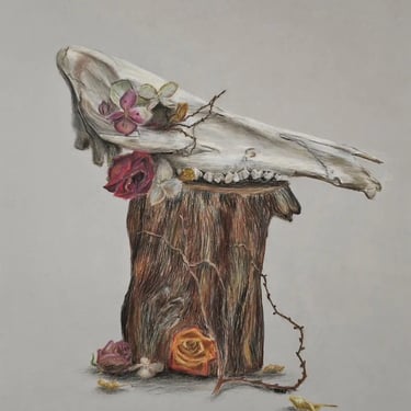 paruosiamieji-kursai-stojant-portfolio-dizainas