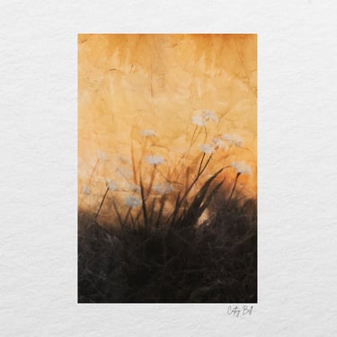 Warm golden-hued flowers set against an abstract backdrop.