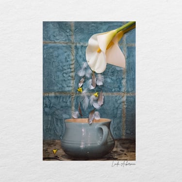 A Still Life Artwork from the Swellendam Art and Photography Retreat, South Africa.
