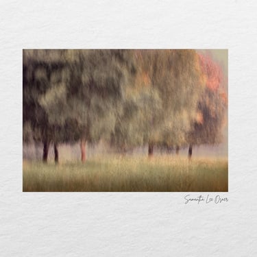 Soft abstract impression of trees in a misty field, created during the Swellendam Art and Photography Retreat.