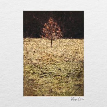 Lone tree against a textured golden landscape, a student artwork from the Swellendam Art and Photography Retreat.