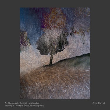 Multiple exposure tree artwork by student Ansie Du Toit.