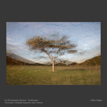 Multiple exposure textured tree artwork by student Gillian Mager.