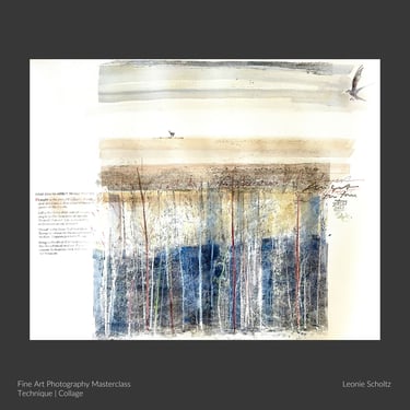 Collage landscape artwork by student Leonie Scholtz.