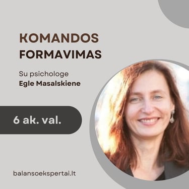 komandos formavimo mokymai