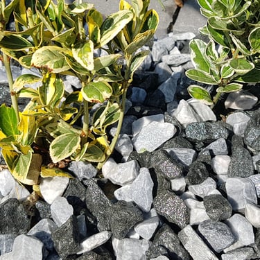Black ice aggregates Romford - Hornchurch - Brentwood - Upminster