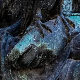 Close up on the hand of the falconer.