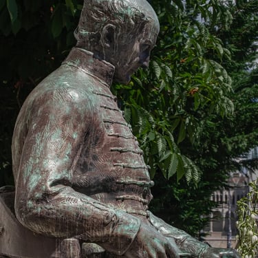 Side view of Kölcsey seated with a book, framed by trees.
