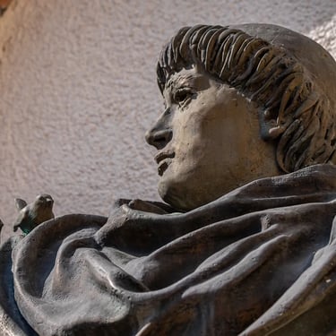 Uplifted face of Saint Francis, gazing toward the sun with calm, open expression.