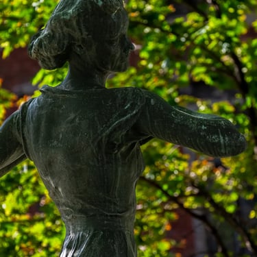 Silhouette of upper body and hands, framed by leafy trees in the background.