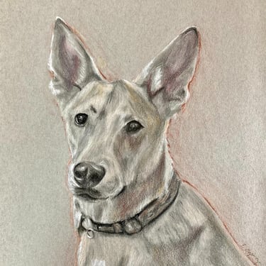 original hand drawn pencil portrait custom dog pet