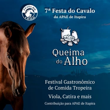 Divulgação da Queima do Alho de 2025