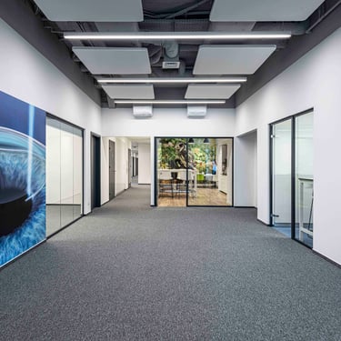 Diseno de oficinas para Zeiss, paneles acusticos y graficos en las paredes