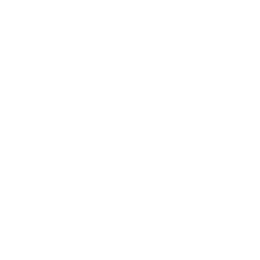 Proyecto conceptual y proyecto ejecutivo