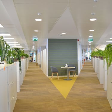 pasillo de oficina Lilly con alfombra beige y panel acustico en las paredes