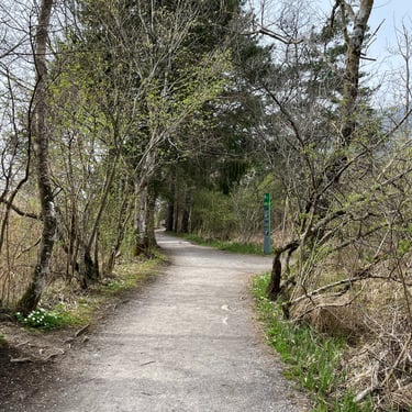 Path in the Weissenau Nature Reserve in Interlaken Switzerland