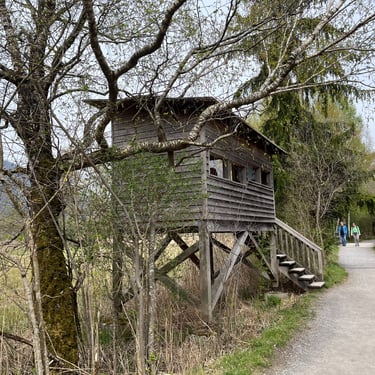 Bird blind and path in the Weissenau Nature Reserve in Interlaken