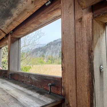 View from the Bird Blind in the Weissenau Nature Reserve