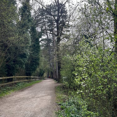 View of a path through the Weissenau Nature Reserve in Interlaken Switzerland
