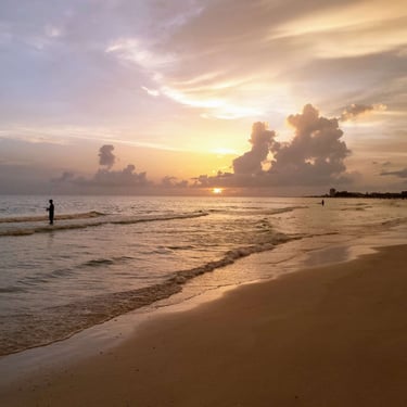 siesta key beach sunset