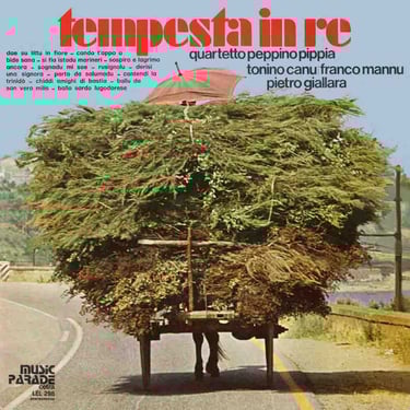 LEL 298 (Cetra) - Tempesta in Re