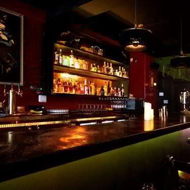 Dimly lit bar with green and red accents with, shelves of liquor, and a framed fantasy-style portrait.