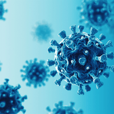Infectious human plasma