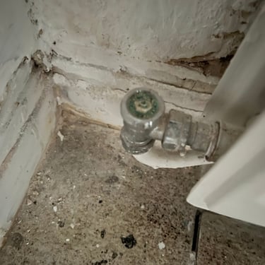 TRV leaking from the pin, needs to be replaced
