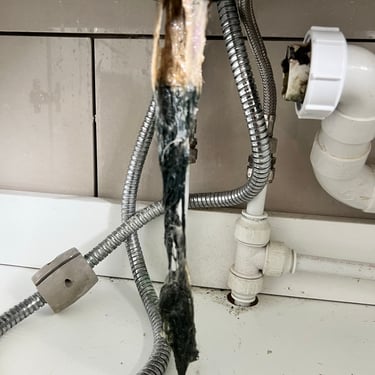 Blocked basin waste, removed for cleaning