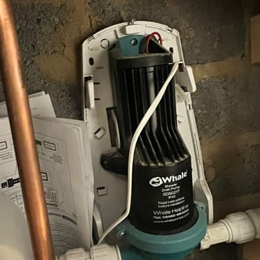 Faulty Whale gulper shower pump