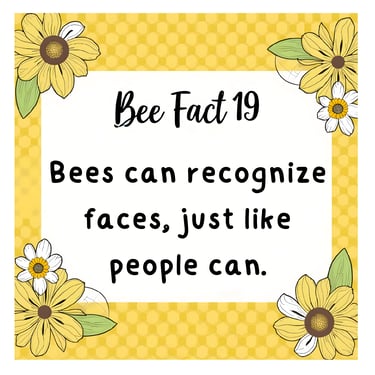 Alvey Starr Bee Facts 19 alveystarr.com