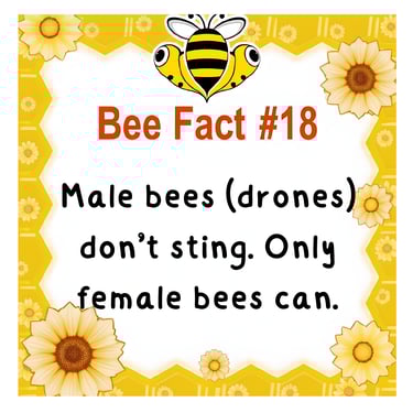 Alvey Starr Bee facts 18 alveystarr.com